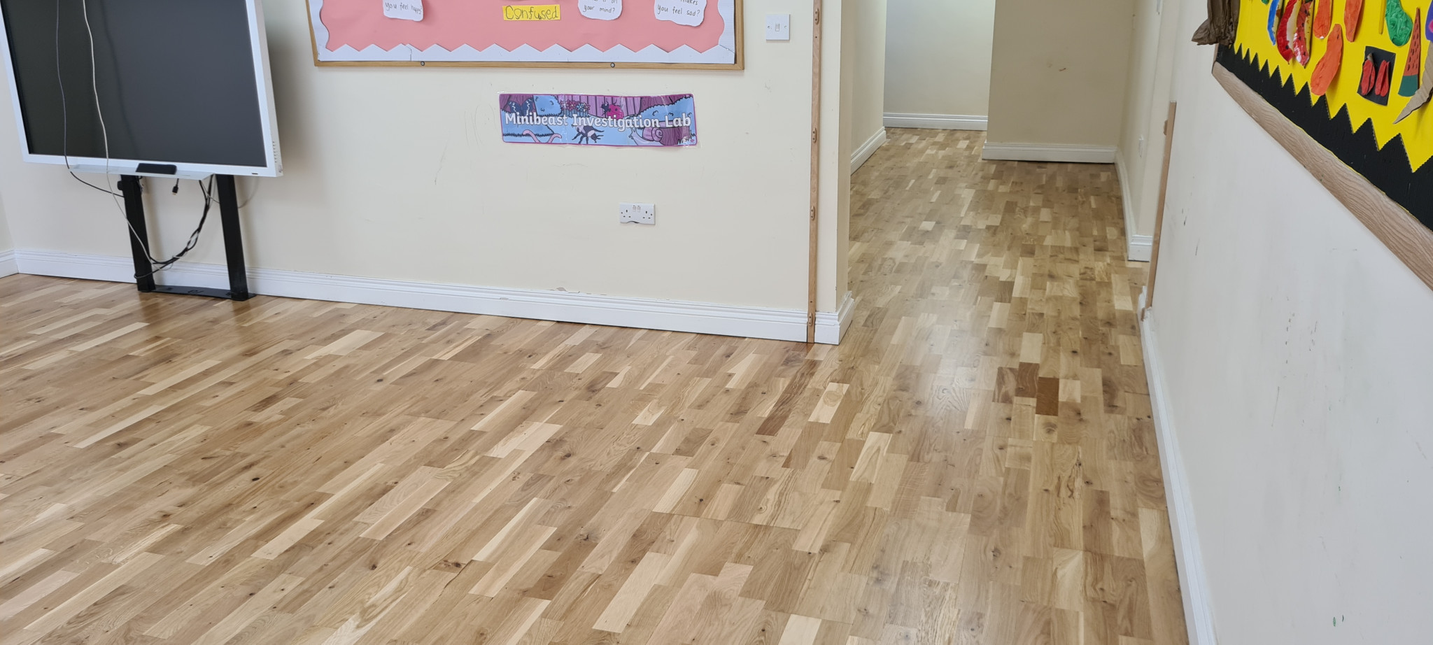 School floor sanding services