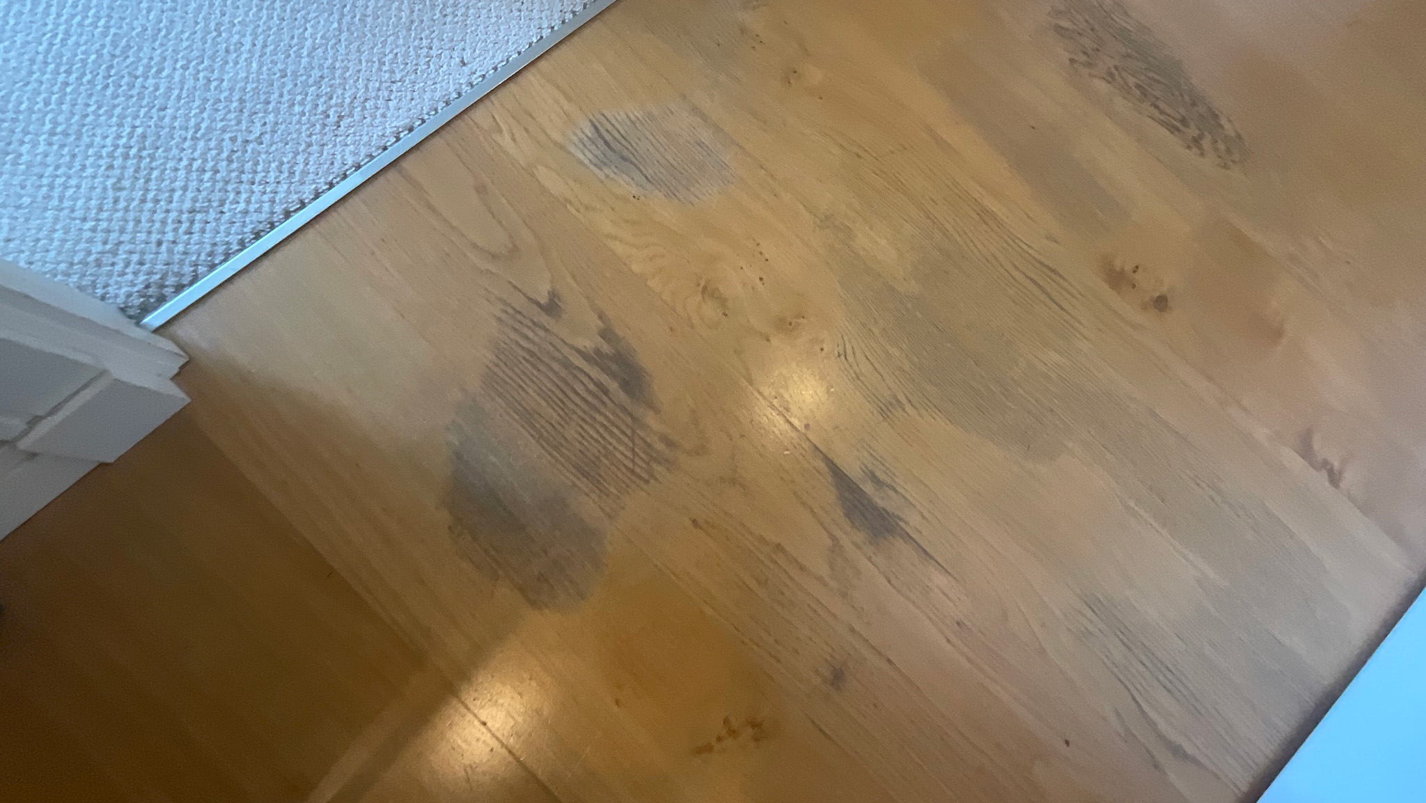 Before the Floor Restoration