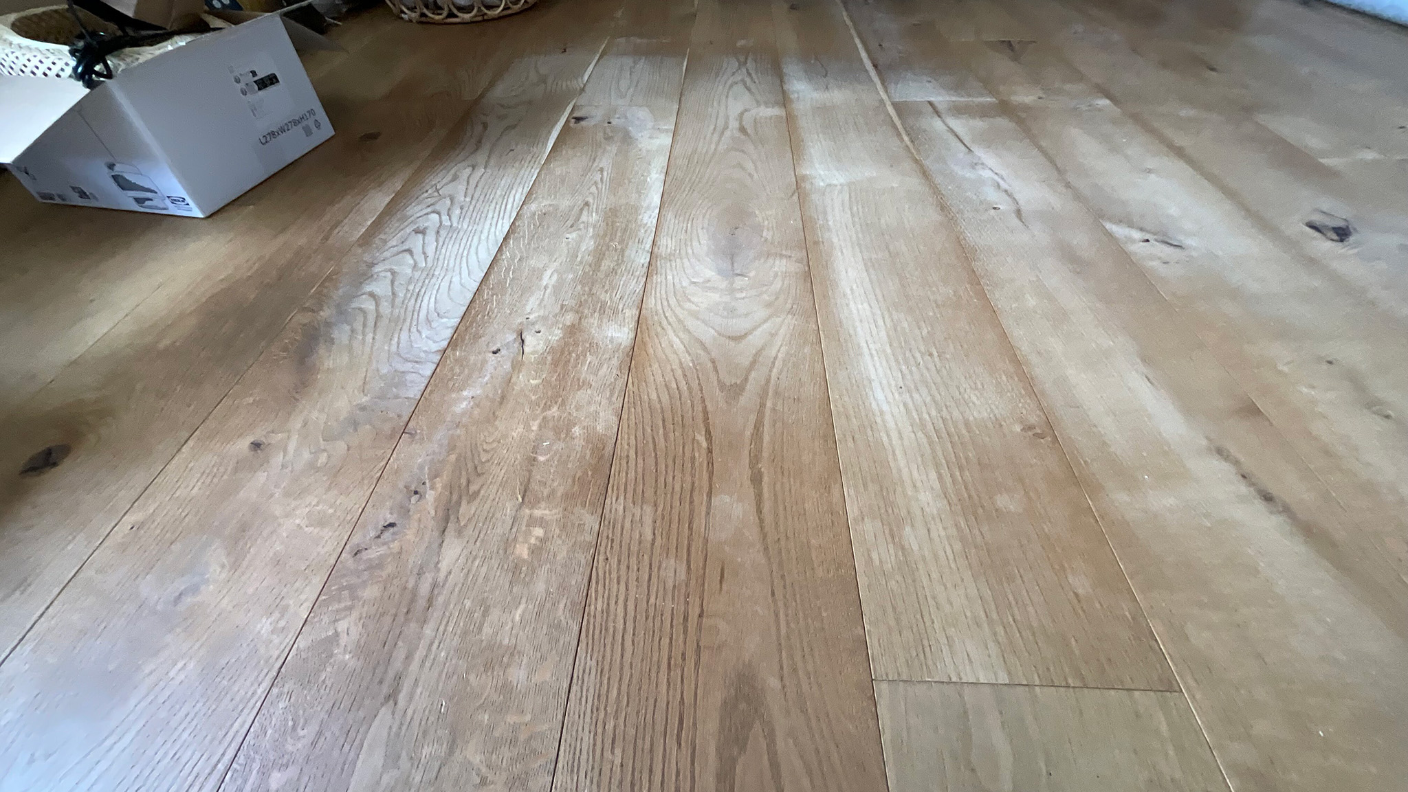 Before the Sanding