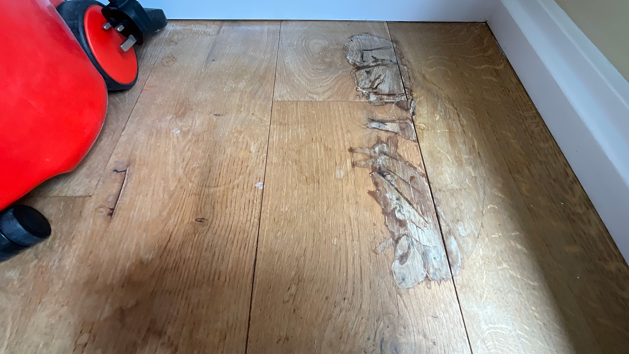 Before the Sanding